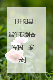 开阳县：端午粽飘香 军民一家亲