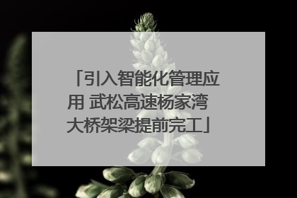 引入智能化管理应用 武松高速杨家湾大桥架梁提前完工