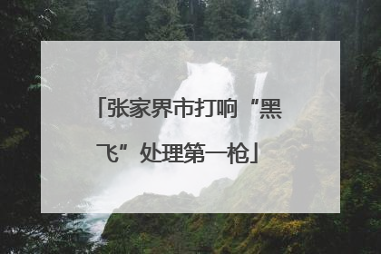 张家界市打响“黑飞”处理第一枪