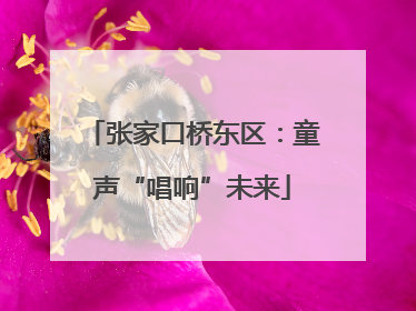张家口桥东区：童声“唱响”未来