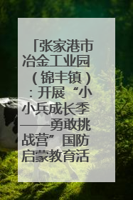 张家港市冶金工业园（锦丰镇）：开展“小小兵成长季——勇敢挑战营”国防启蒙教育活动