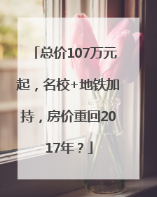 总价107万元起，名校+地铁加持，房价重回2017年？