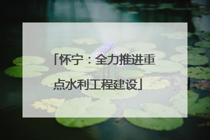怀宁：全力推进重点水利工程建设