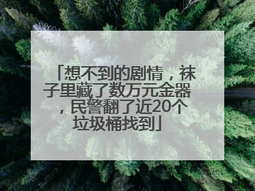 想不到的剧情，袜子里藏了数万元金器，民警翻了近20个垃圾桶找到