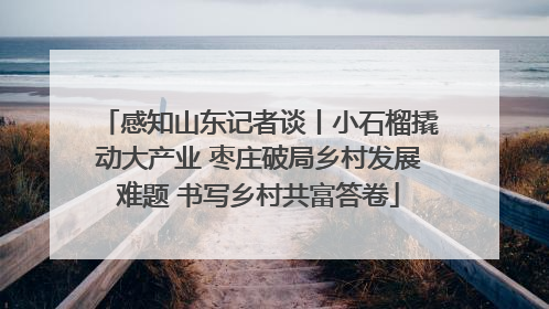 感知山东记者谈丨小石榴撬动大产业 枣庄破局乡村发展难题 书写乡村共富答卷