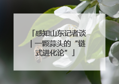 感知山东记者谈｜一颗蒜头的“链式进化论”