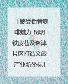 感受街巷咖啡魅力 昆明铁皮巷及巡津片区打造文旅产业新坐标