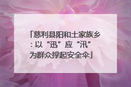慈利县阳和土家族乡：以“迅”应“汛” 为群众撑起安全伞
