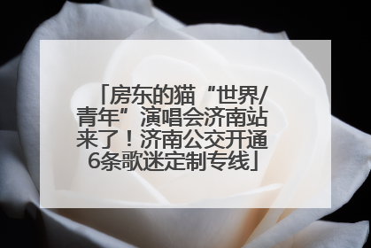 房东的猫“世界/青年”演唱会济南站来了！济南公交开通6条歌迷定制专线