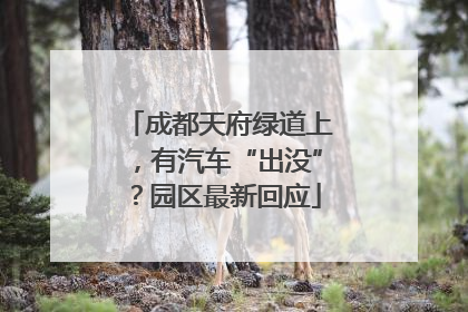 成都天府绿道上，有汽车“出没”？园区最新回应