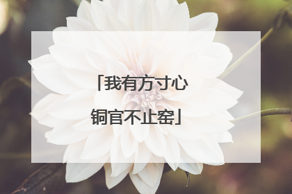 我有方寸心 铜官不止窑