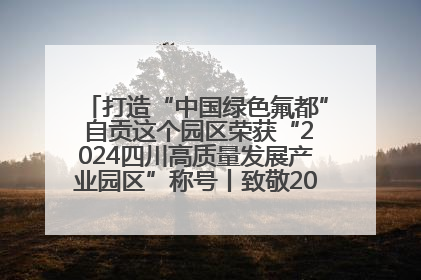 打造“中国绿色氟都” 自贡这个园区荣获“2024四川高质量发展产业园区”称号丨致敬2024经济影响力人物