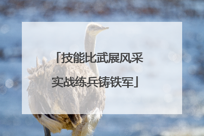 技能比武展风采 实战练兵铸铁军