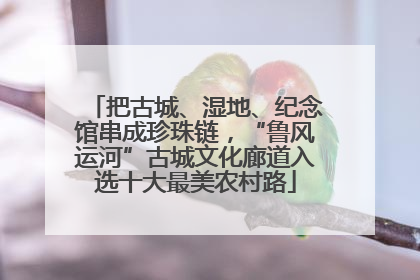 把古城、湿地、纪念馆串成珍珠链，“鲁风运河”古城文化廊道入选十大最美农村路
