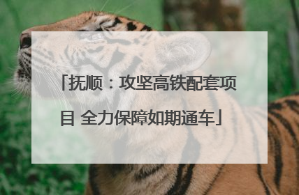 抚顺：攻坚高铁配套项目 全力保障如期通车
