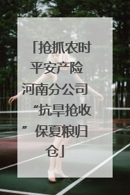 抢抓农时 平安产险河南分公司“抗旱抢收”保夏粮归仓