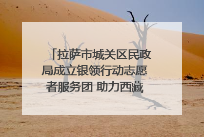 拉萨市城关区民政局成立银领行动志愿者服务团 助力西藏银发经济发展