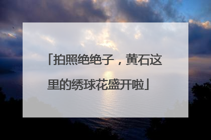 拍照绝绝子，黄石这里的绣球花盛开啦