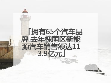 拥有65个汽车品牌 去年槐荫区新能源汽车销售额达113.9亿元