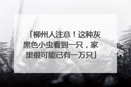 柳州人注意！这种灰黑色小虫看到一只，家里很可能已有一万只