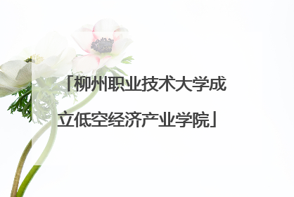 柳州职业技术大学成立低空经济产业学院