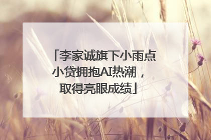 李家诚旗下小雨点小贷拥抱AI热潮，取得亮眼成绩