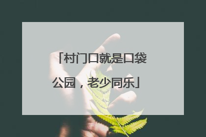 村门口就是口袋公园，老少同乐