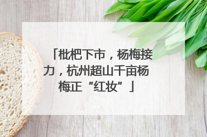 枇杷下市，杨梅接力，杭州超山千亩杨梅正“红妆”