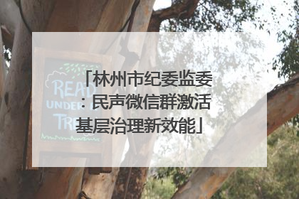 林州市纪委监委：民声微信群激活基层治理新效能
