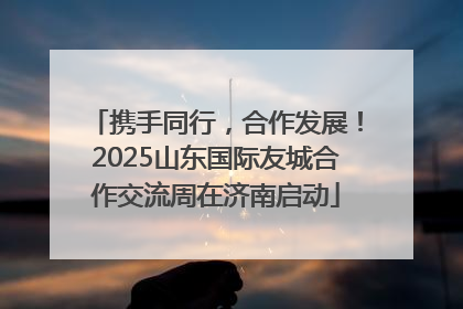 携手同行，合作发展！2025山东国际友城合作交流周在济南启动