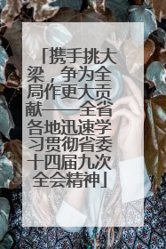 携手挑大梁，争为全局作更大贡献——全省各地迅速学习贯彻省委十四届九次全会精神