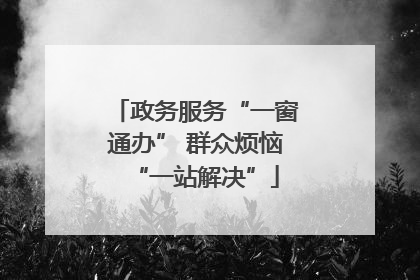 政务服务“一窗通办” 群众烦恼“一站解决”