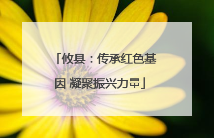 攸县：传承红色基因 凝聚振兴力量