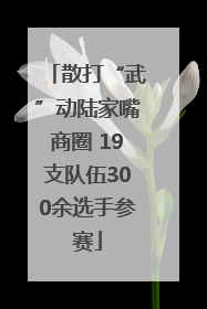 散打“武”动陆家嘴商圈 19支队伍300余选手参赛