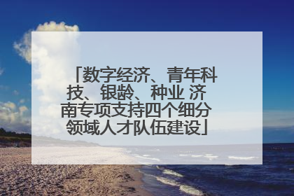 数字经济、青年科技、银龄、种业 济南专项支持四个细分领域人才队伍建设