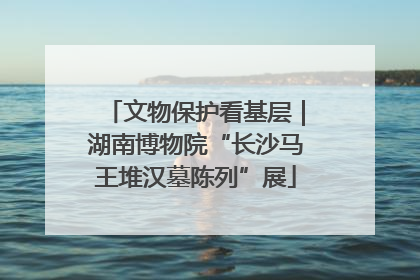 文物保护看基层｜湖南博物院“长沙马王堆汉墓陈列”展