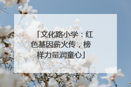 文化路小学：红色基因薪火传，榜样力量润童心