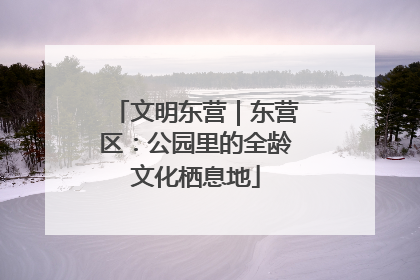 文明东营｜东营区：公园里的全龄文化栖息地