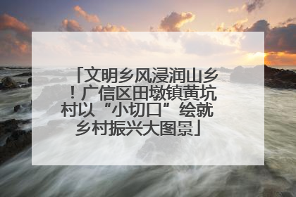 文明乡风浸润山乡！广信区田墩镇黄坑村以“小切口”绘就乡村振兴大图景