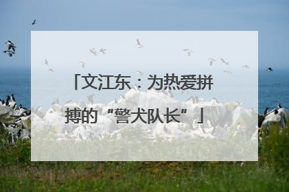 文江东：为热爱拼搏的“警犬队长”