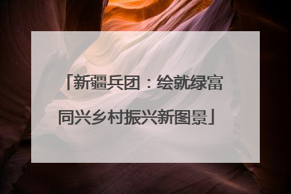 新疆兵团：绘就绿富同兴乡村振兴新图景