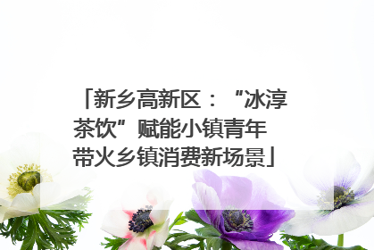新乡高新区：“冰淳茶饮”赋能小镇青年 带火乡镇消费新场景