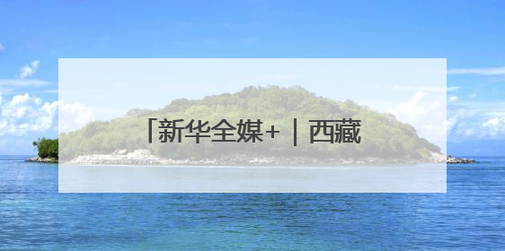 新华全媒+｜西藏：黑颈鹤家族高原湿地喜添“萌宝”