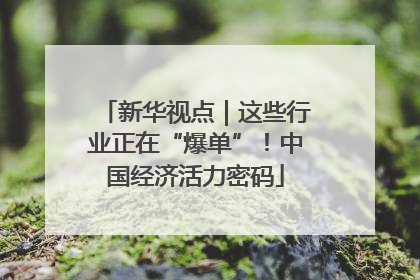 新华视点｜这些行业正在“爆单”！中国经济活力密码
