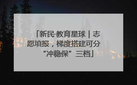 新民·教育星球｜志愿填报，梯度搭建可分“冲稳保”三档