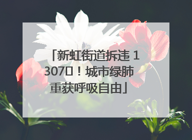 新虹街道拆违 1307㎡！城市绿肺重获呼吸自由