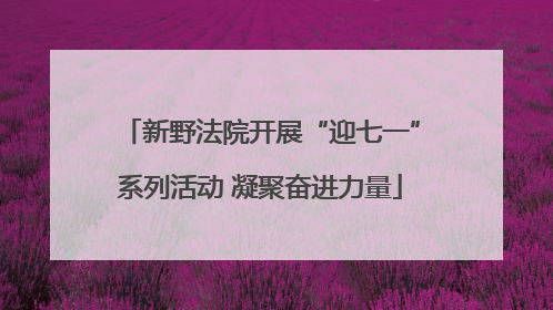 新野法院开展“迎七一”系列活动 凝聚奋进力量