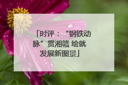 时评：“钢铁动脉”贯湘赣 绘就发展新图景