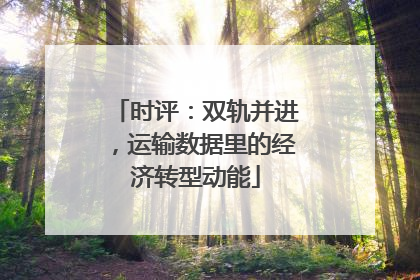 时评：双轨并进，运输数据里的经济转型动能