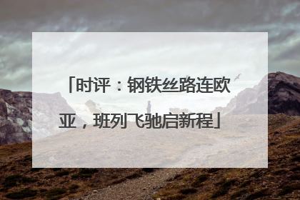 时评：钢铁丝路连欧亚，班列飞驰启新程